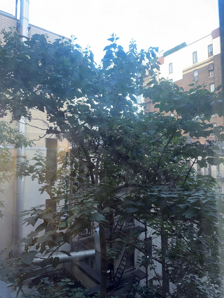 West 16th Street - Photo 9