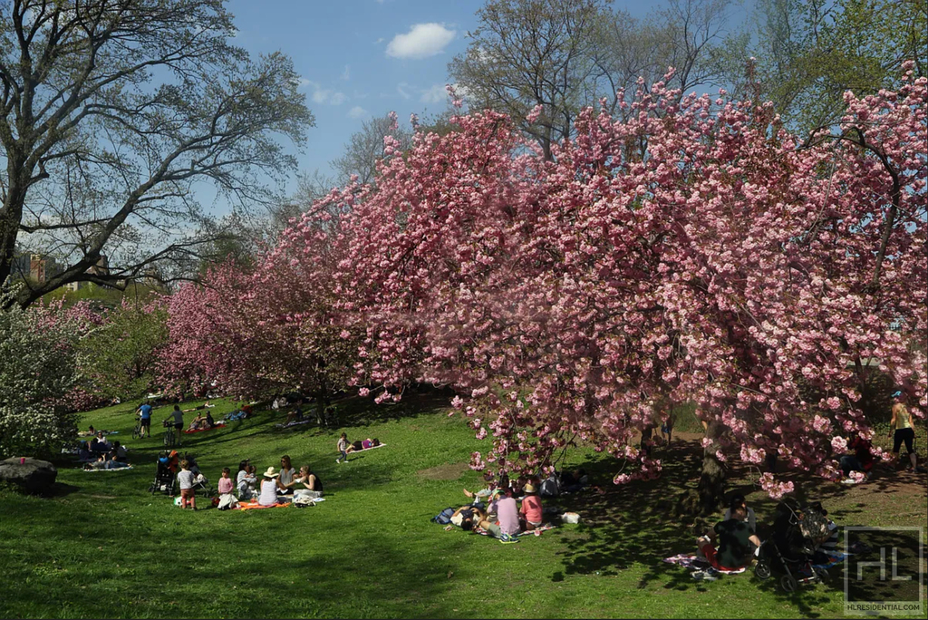 East 59 Street - Photo 12
