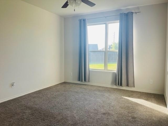 10001 Eagle Pass Place - Photo 6