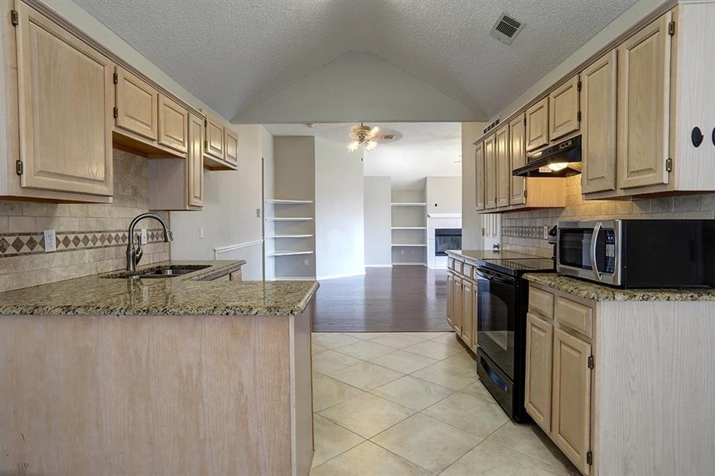4206 Wild Plum Drive - Photo 3