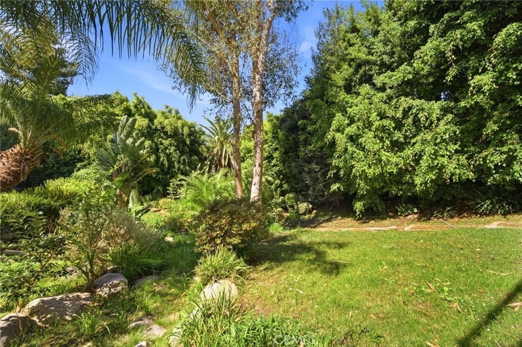 3635 Serra Road - Photo 39