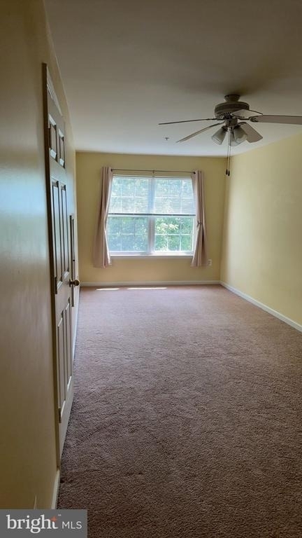 6409 Nice Place - Photo 11