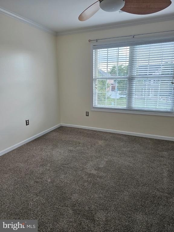 202 Cool Spring Drive - Photo 15