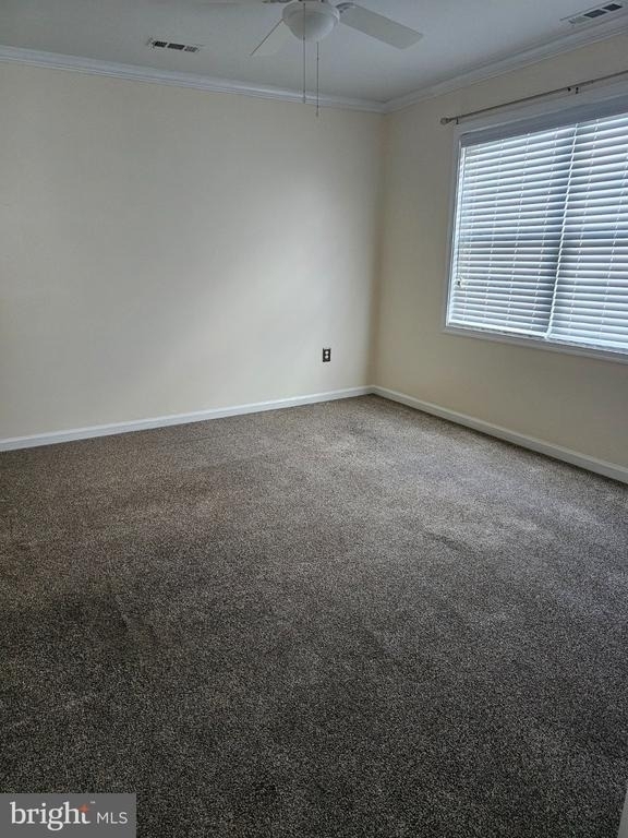 202 Cool Spring Drive - Photo 13