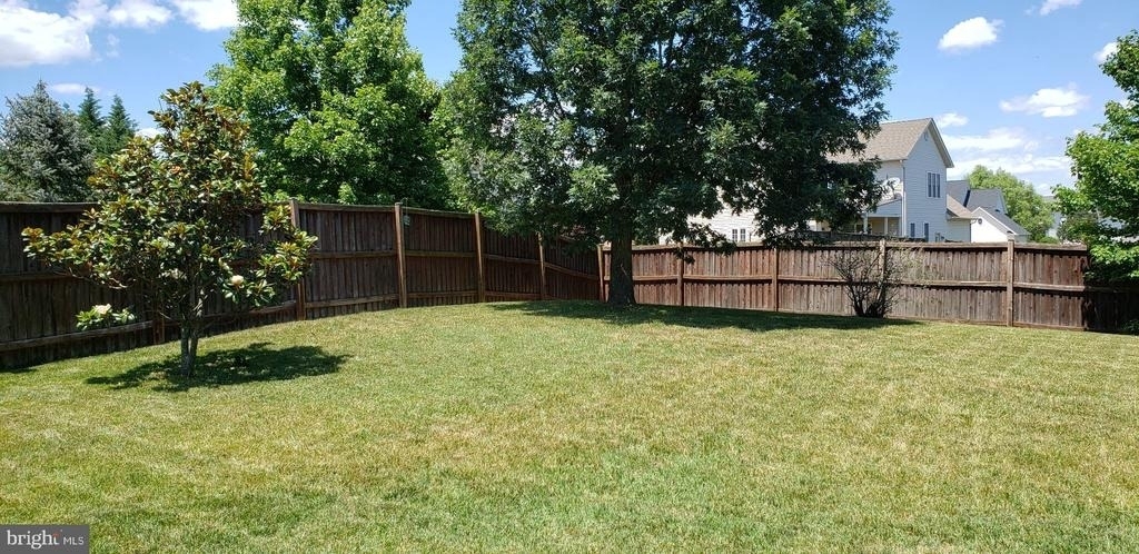 202 Cool Spring Drive - Photo 30