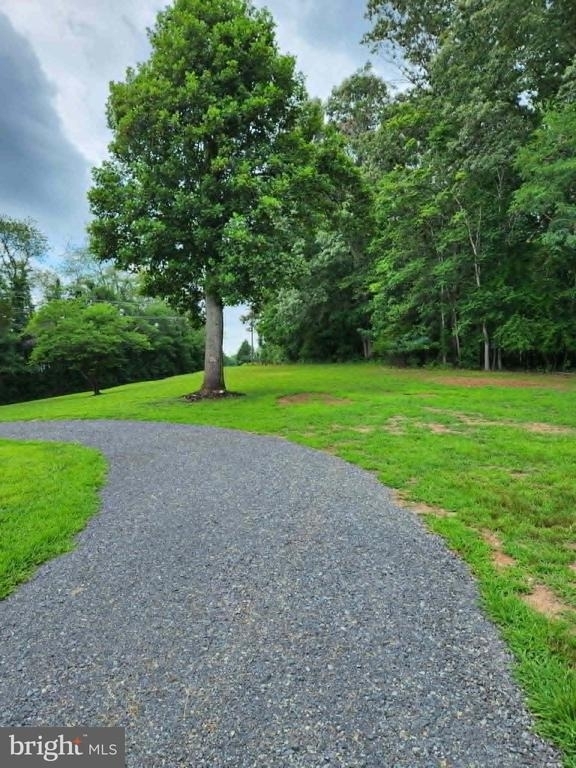 11501 Homeland Road - Photo 15