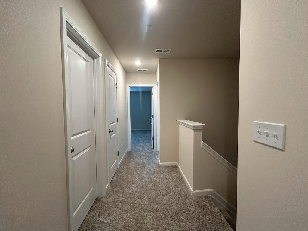 241 Ribbon Rail Street - Photo 26