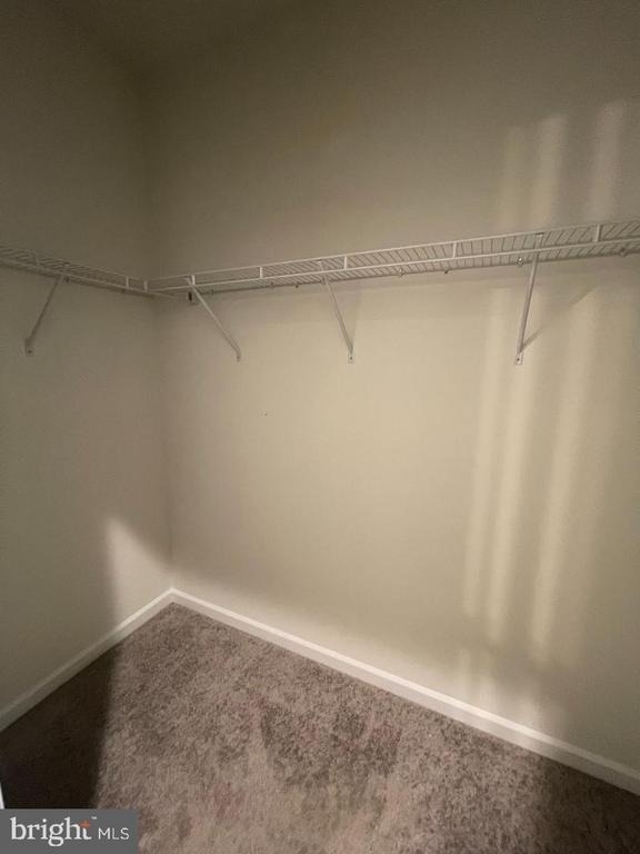 516 Gray Feather Way - Photo 22