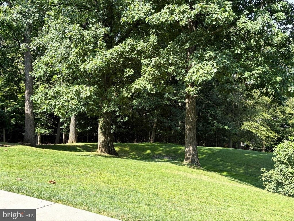 302 Brighton Circle - Photo 36
