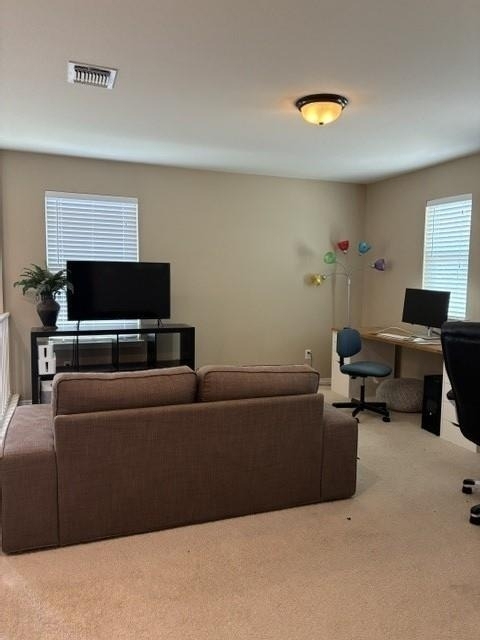 1512 Gautami Dr - Photo 11