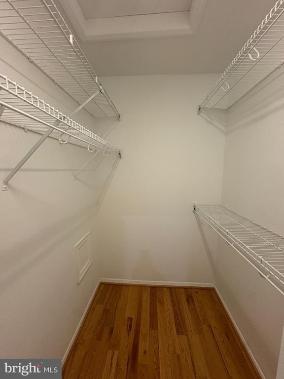 7779 Chatfield Lane - Photo 15