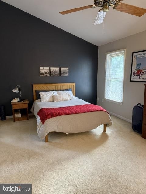 6206 Manchester Way - Photo 12