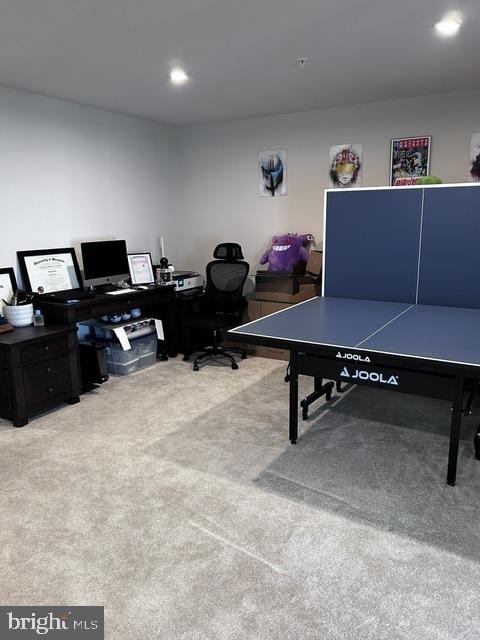 337 Pemberton Park Lane - Photo 29