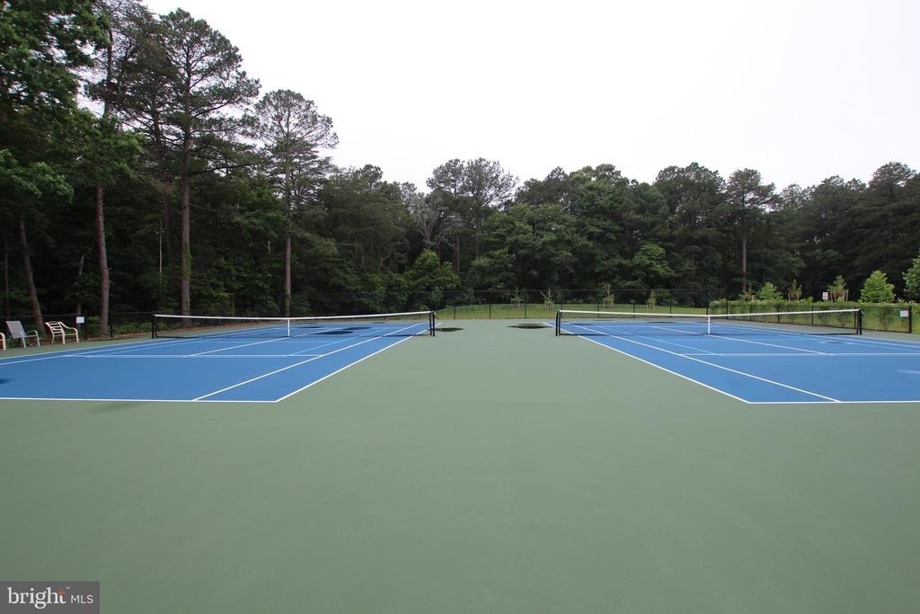 24103 Harvest Circle - Photo 13