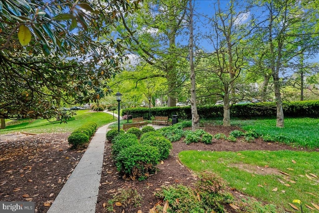 4200 Cathedral Avenue Nw - Photo 2