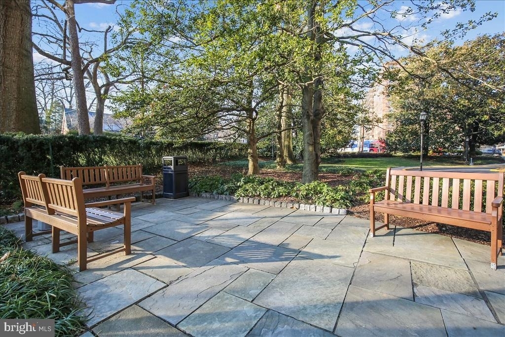 4200 Cathedral Avenue Nw - Photo 3