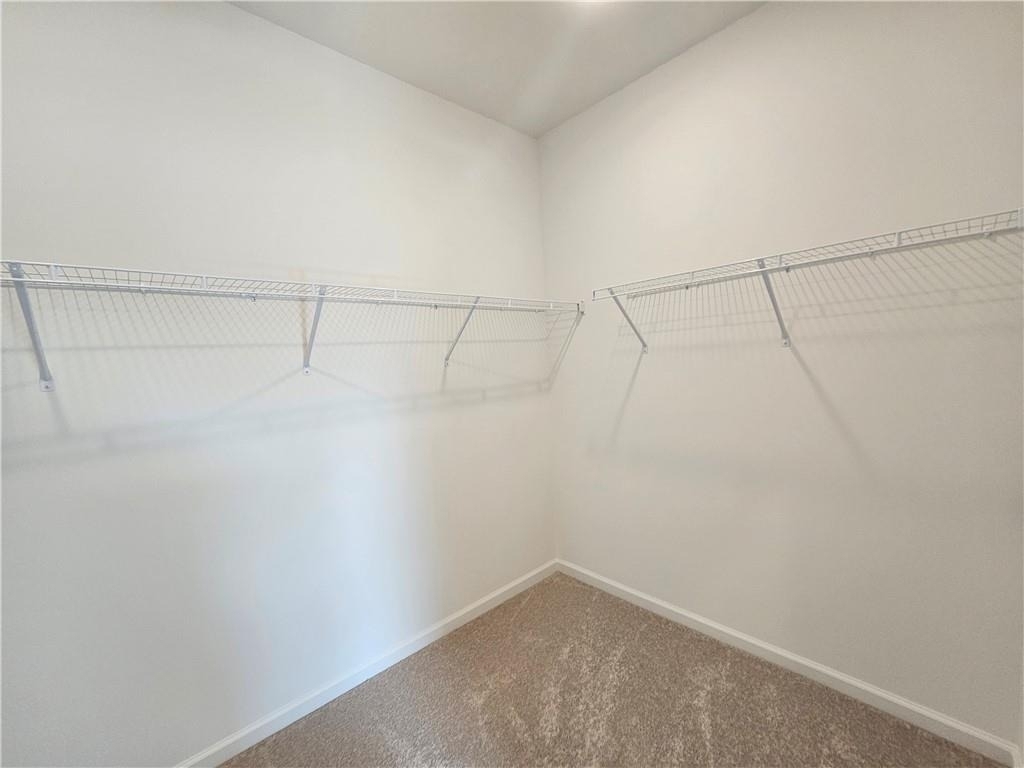 3670 Willow Glade Trail - Photo 41
