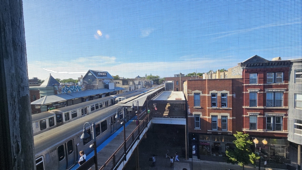 939 W Armitage Avenue - Photo 9