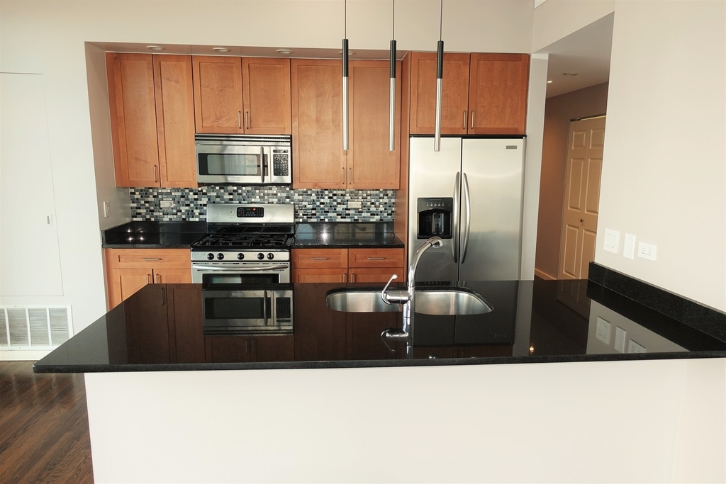 1620 S Michigan Avenue - Photo 1