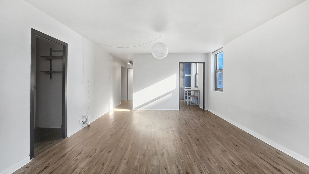 253 E Delaware Place - Photo 4