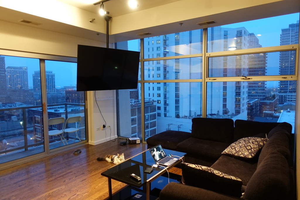 1620 S Michigan Avenue - Photo 2