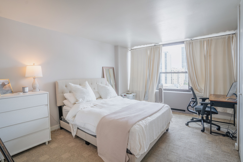 1560 N Sandburg Terrace - Photo 14