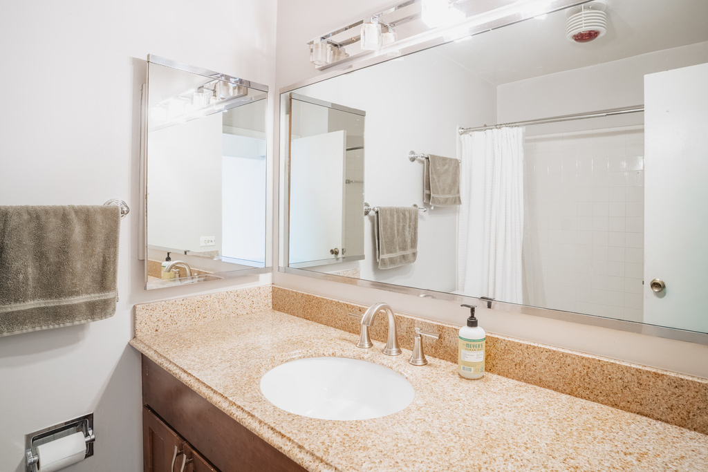 1560 N Sandburg Terrace - Photo 13
