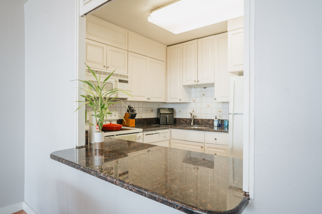 1560 N Sandburg Terrace - Photo 9