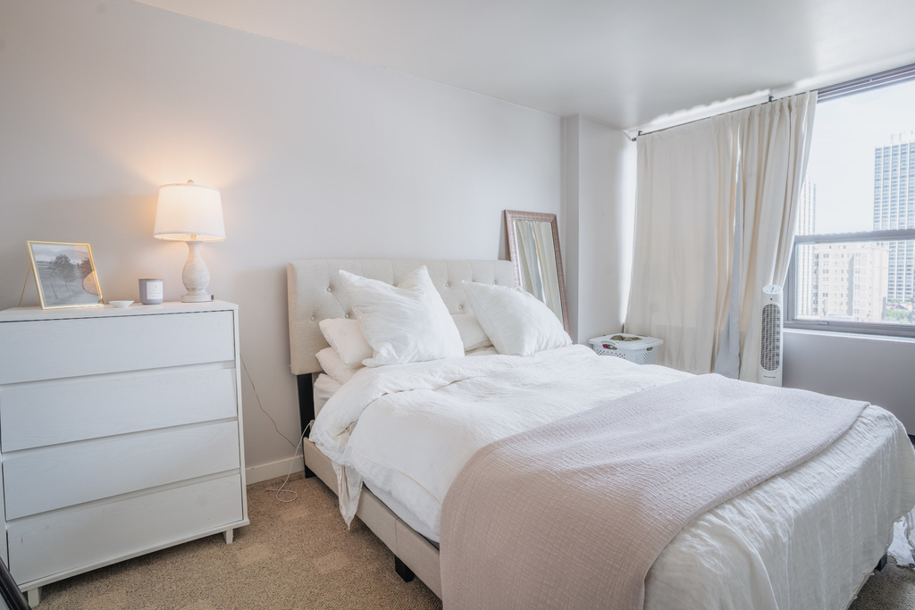 1560 N Sandburg Terrace - Photo 18