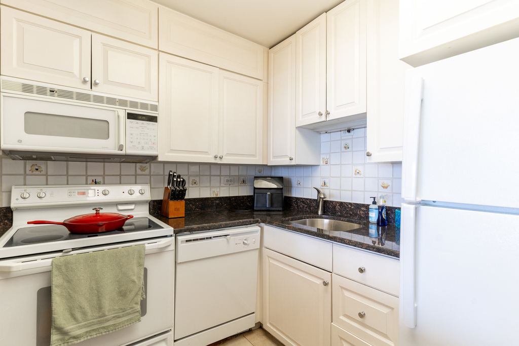 1560 N Sandburg Terrace - Photo 11