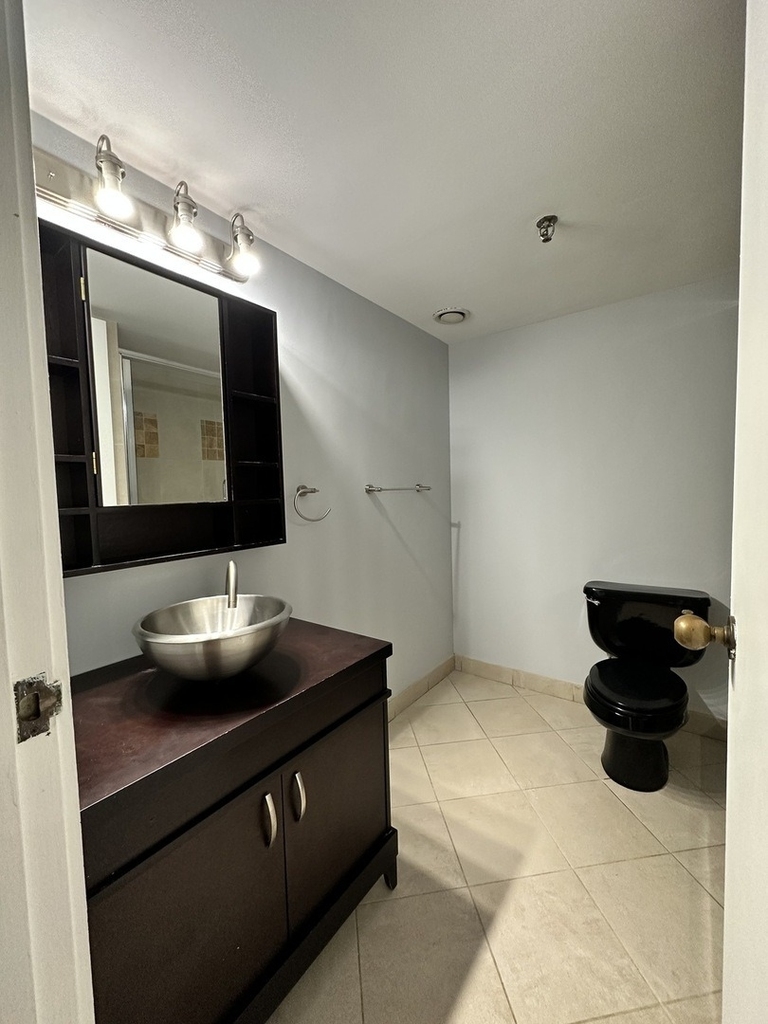 540 N Lake Shore Drive - Photo 6