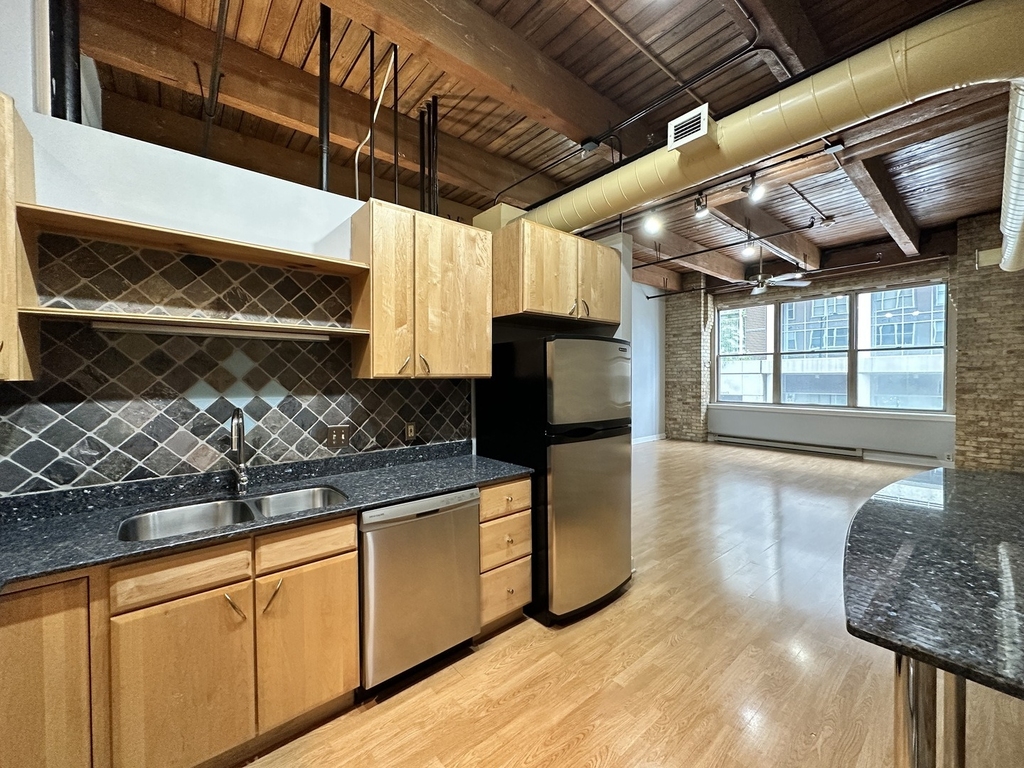 540 N Lake Shore Drive - Photo 3
