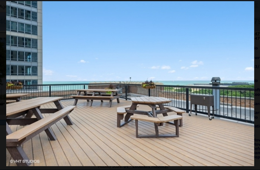 540 N Lake Shore Drive - Photo 12