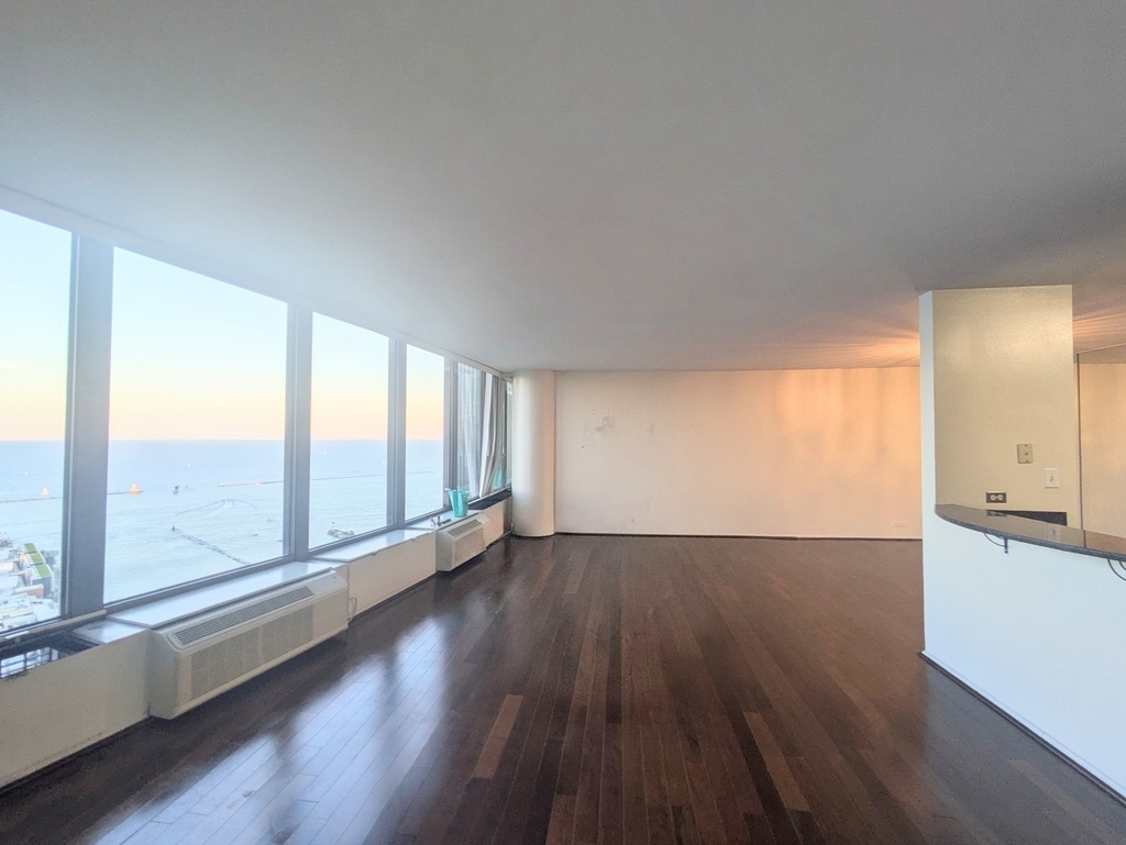 505 N Lake Shore Drive - Photo 9