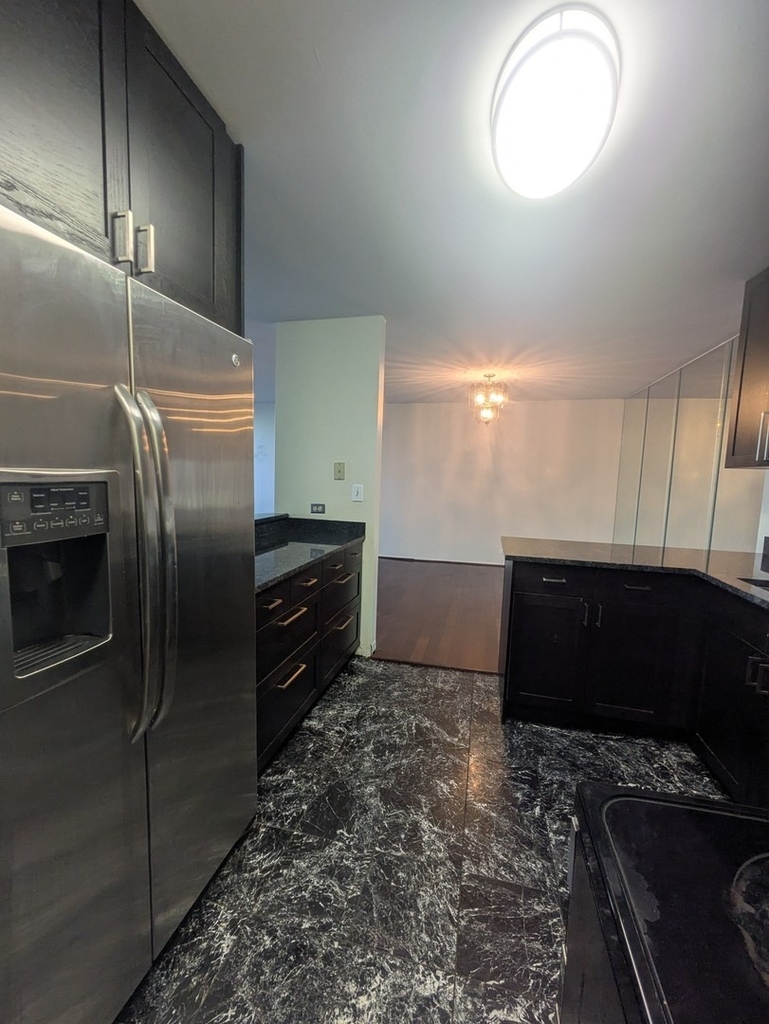 505 N Lake Shore Drive - Photo 7
