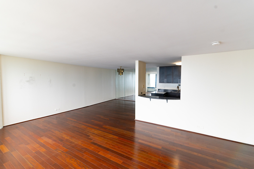 505 N Lake Shore Drive - Photo 15