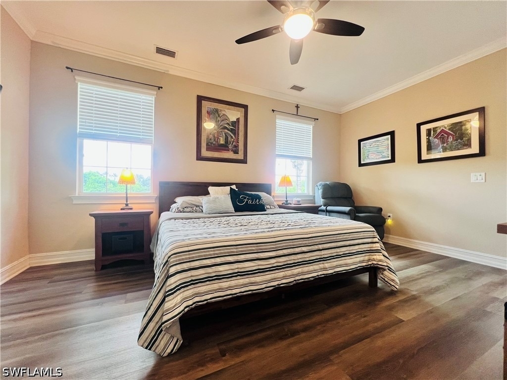 28008 Sosta Lane - Photo 13