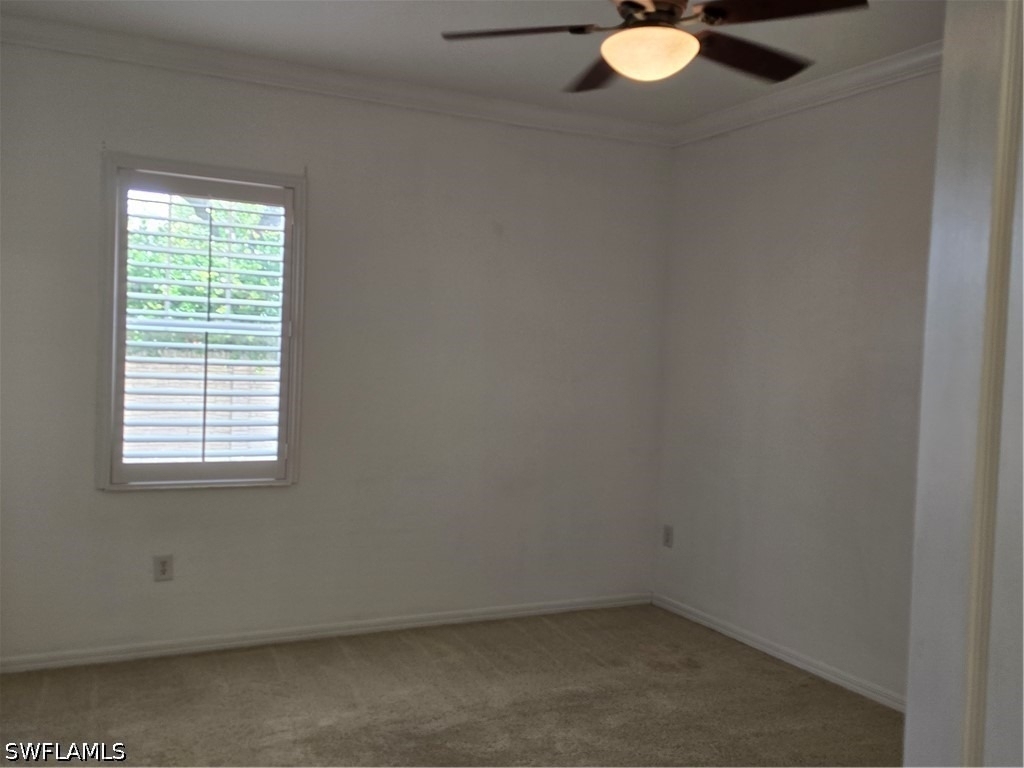 1000 Peggy Circle - Photo 12
