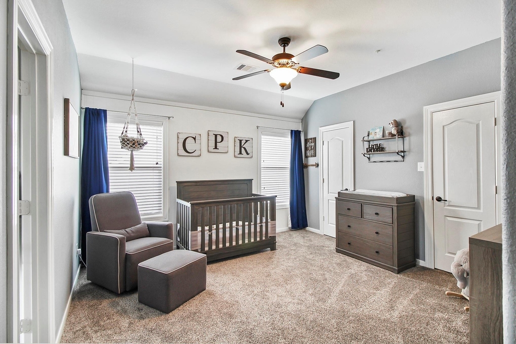 10611 Red Cedar Hollow Drive - Photo 6