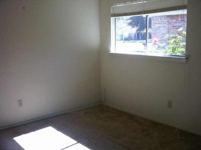 4311 Daisy Meadow Drive - Photo 13