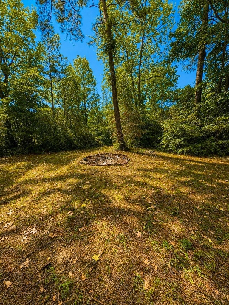 13134 Fm 1484 Road - Photo 22