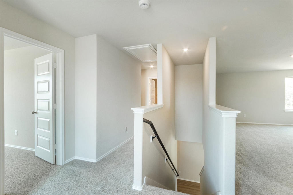 8205 Red Spruce St - Photo 21