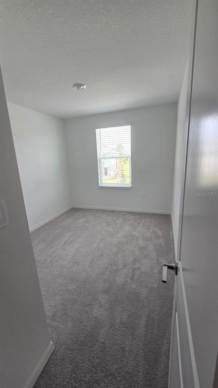 3734 Sepia Street - Photo 11