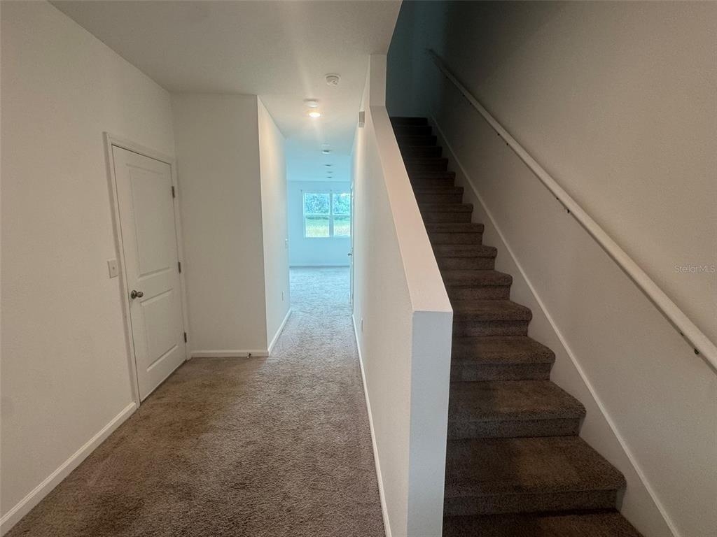 3238 Vesara Drive - Photo 3