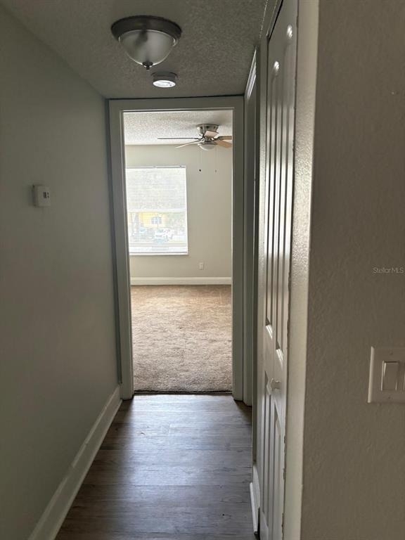 4518 Commander Drive - Photo 6
