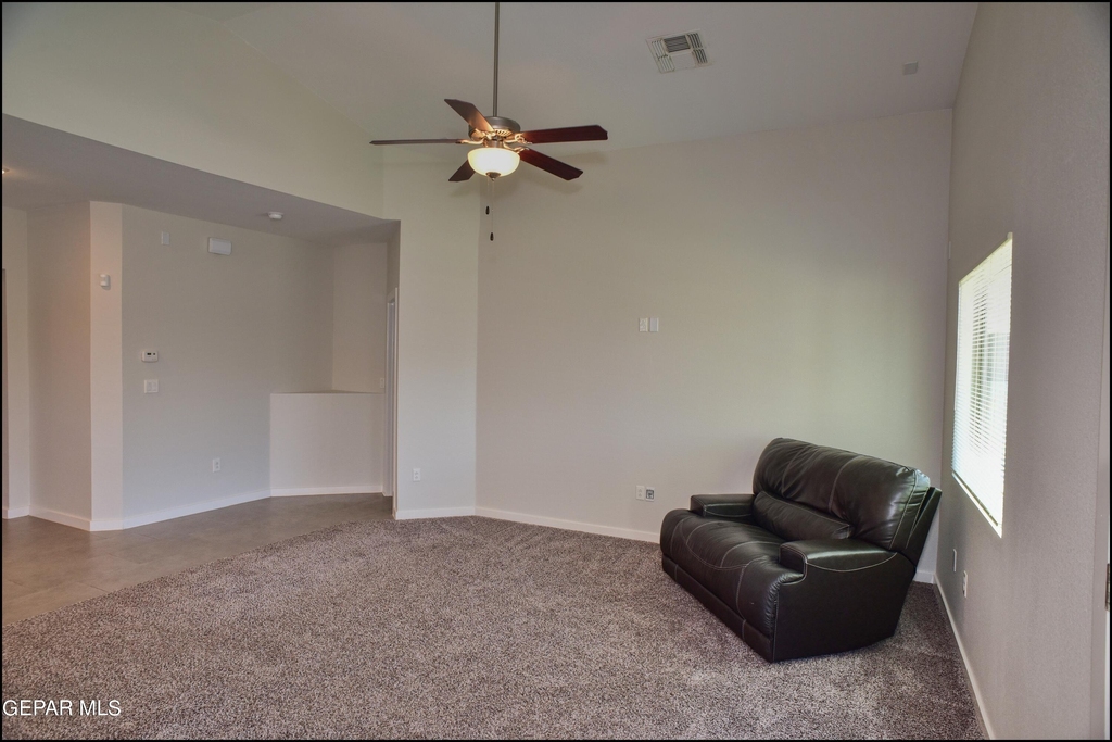 6980 White Mesquite Way - Photo 6