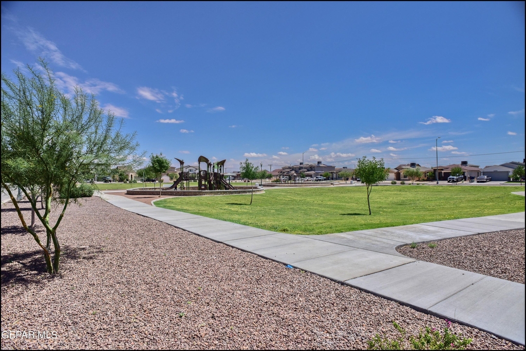 6980 White Mesquite Way - Photo 48