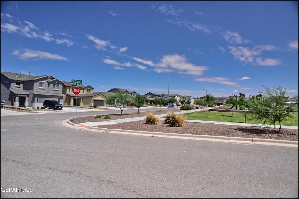 6980 White Mesquite Way - Photo 47