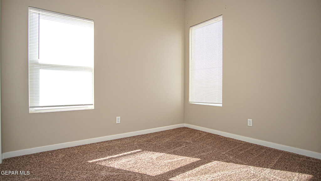 7788 Enchanted Falcon Lane - Photo 22