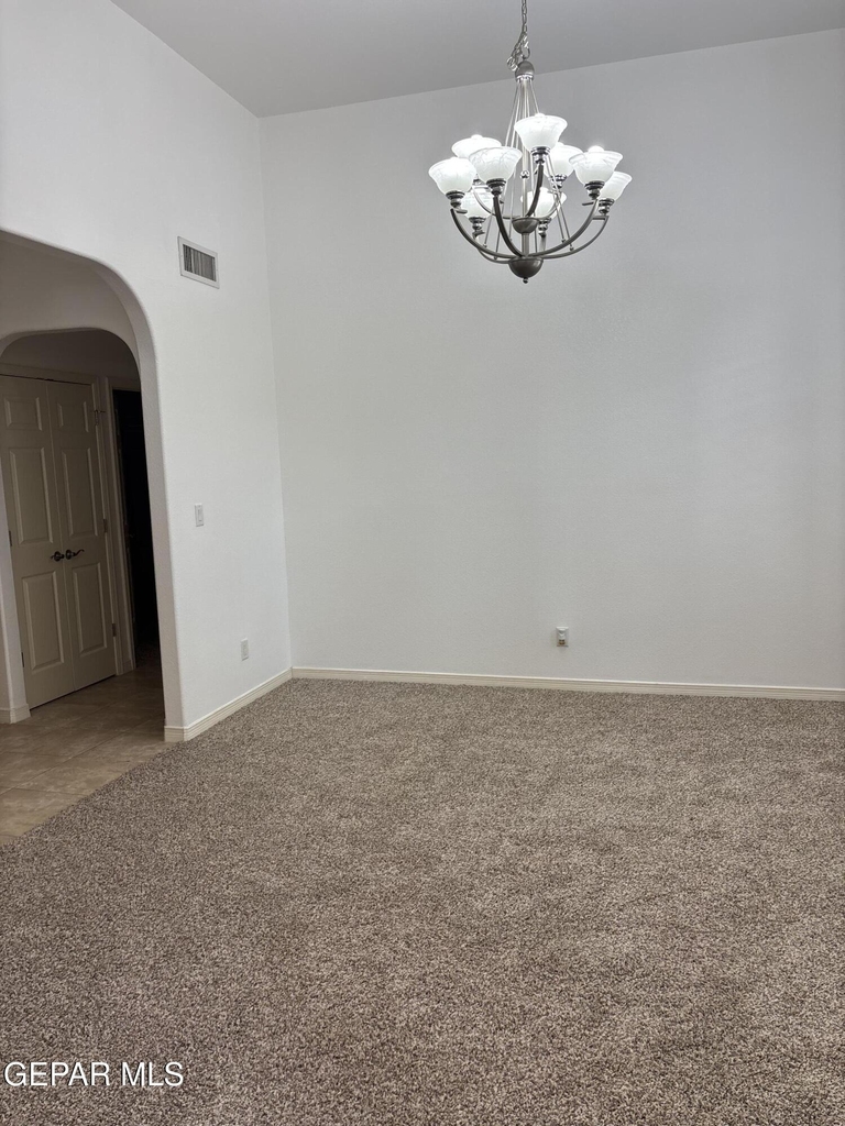 717 Cinnamon Teal Circle - Photo 4